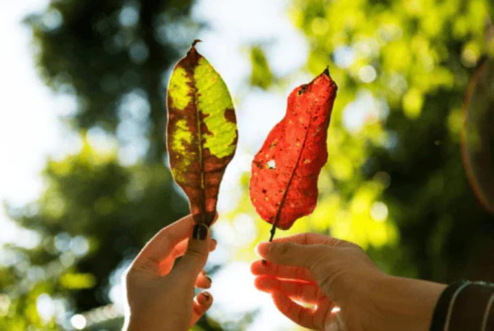 Seasonal Storage At Britannia Self Storage - Britannia Self Storage